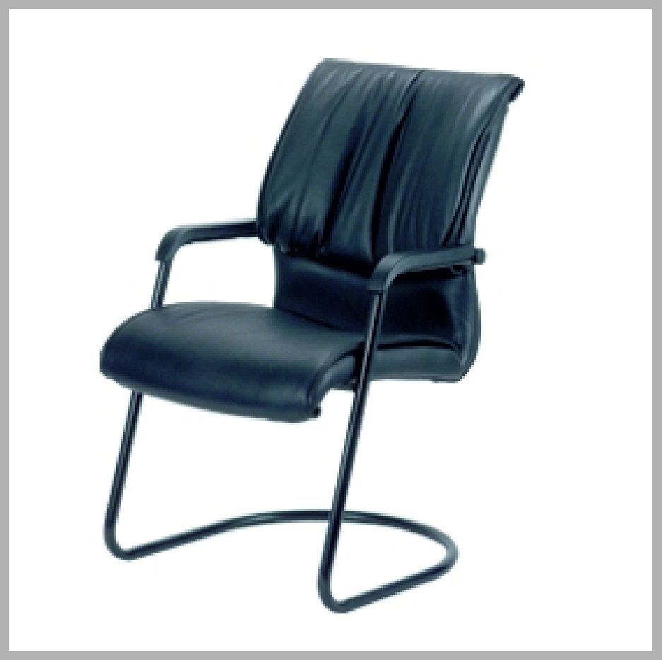 Lumbar Visitors Chair