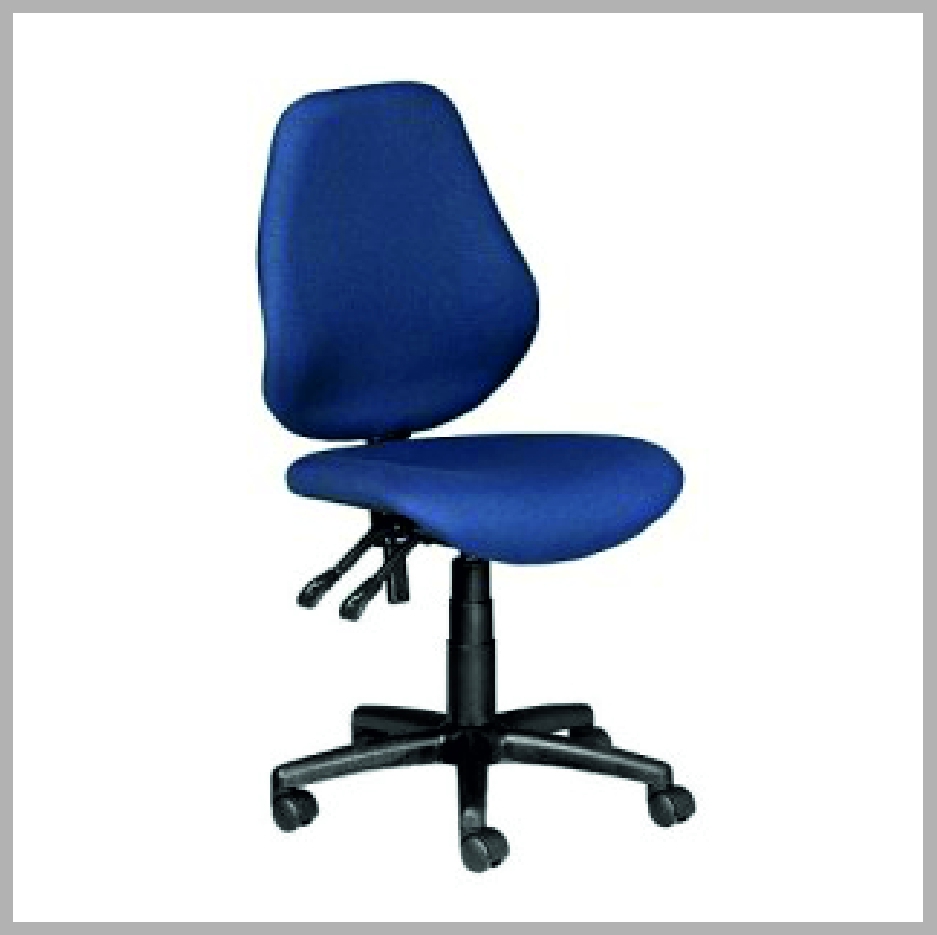 Ergoflex Medium Back + Arms